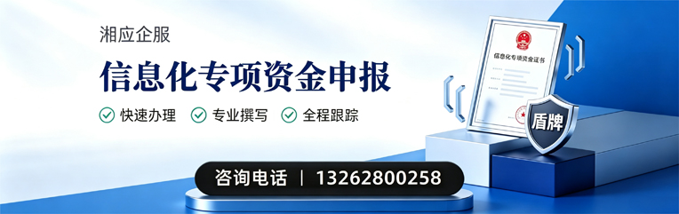 辽宁信息化专项资金申报服务