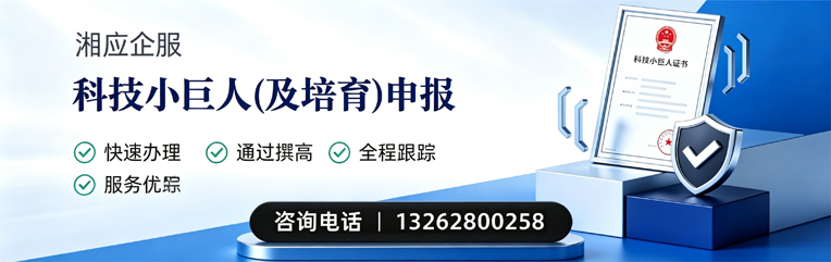 辽宁科技小巨人及培育企业申报服务
