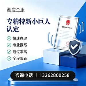辽宁专精特新小巨人申报服务