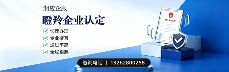 辽宁瞪羚企业认定申报服务