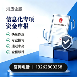 辽宁信息化专项资金申报服务
