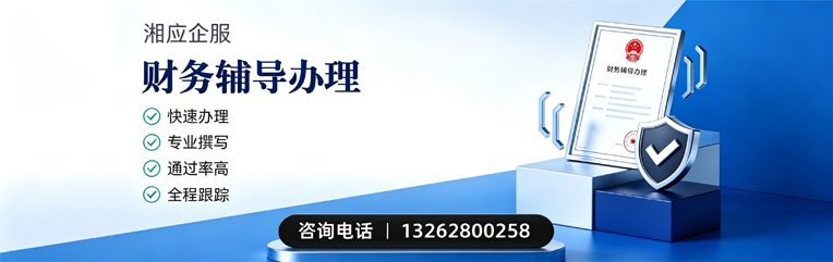 辽宁财务辅导申请服务
