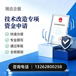 辽宁技术改造专项资金申报服务