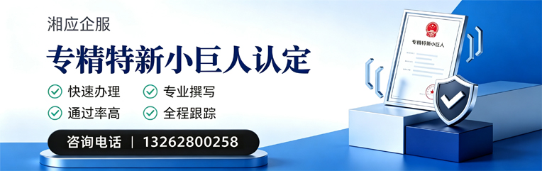 辽宁专精特新小巨人申报服务